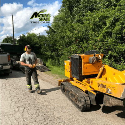 Natures Shade Tree Care - Stump removal photo of a man standing next to a stump grinding machine