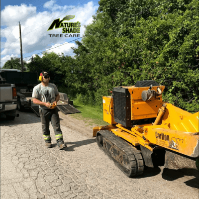 ! Tree Climbing Gear, Arborist Supplies, Arborist Power  Equipment, Saw House, Inc., Wood Chipper Repair, Stump Grinder Repair, Wood  Chipper Service, Stump Grinder Service, Stump Cutter Service