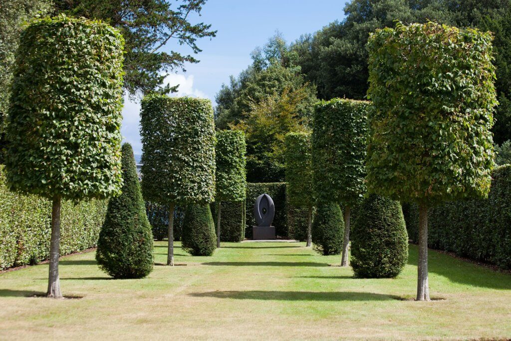 beautiful garden with pruned trees