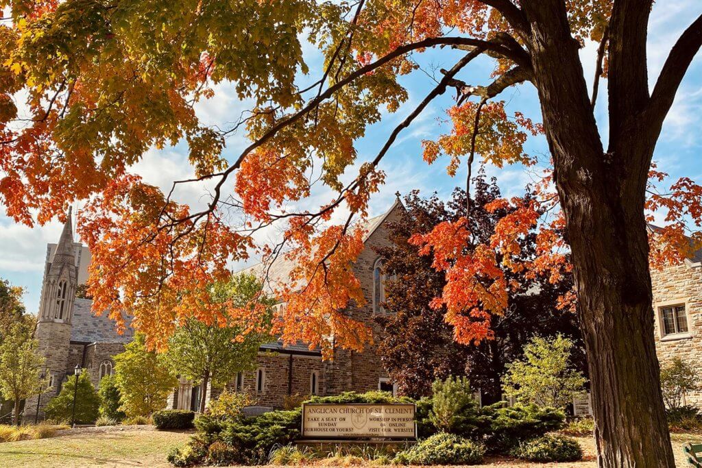 one of the best trees to plant in toronto next to a church